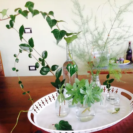 بيت ضيافة Mugs