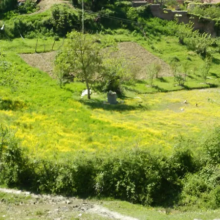 Mugs Πανσιόν Ljaknasi