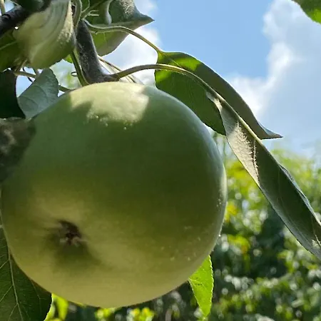 Mugs بيت ضيافة 4*