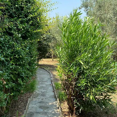 بيت ضيافة Mugs 4*