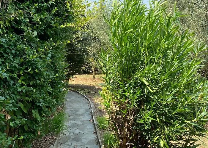 Πανσιόν Mugs 4*