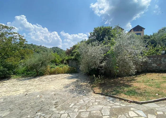 Mugs Πανσιόν 4*