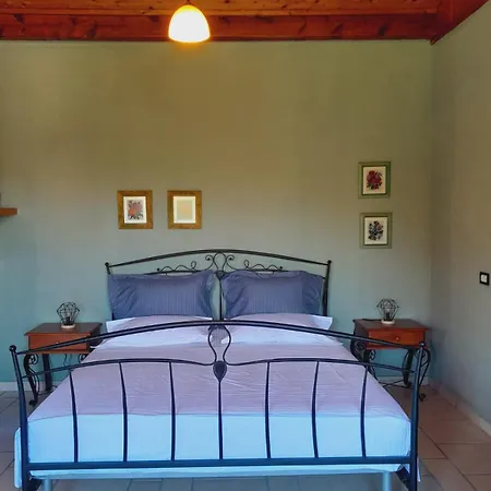 Mugs Guest house