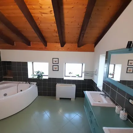 Mugs Guest house